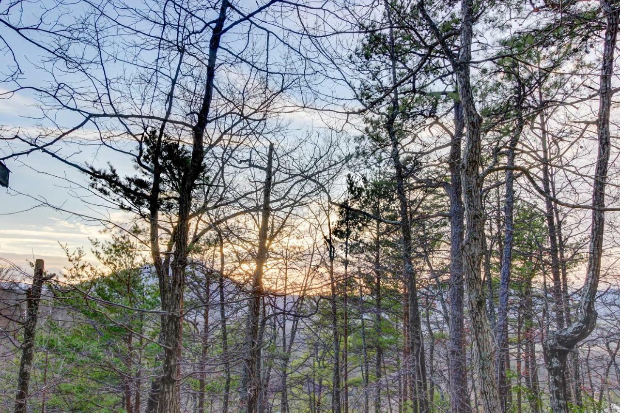 Misty View Cabin Hatchertown Экстерьер фото