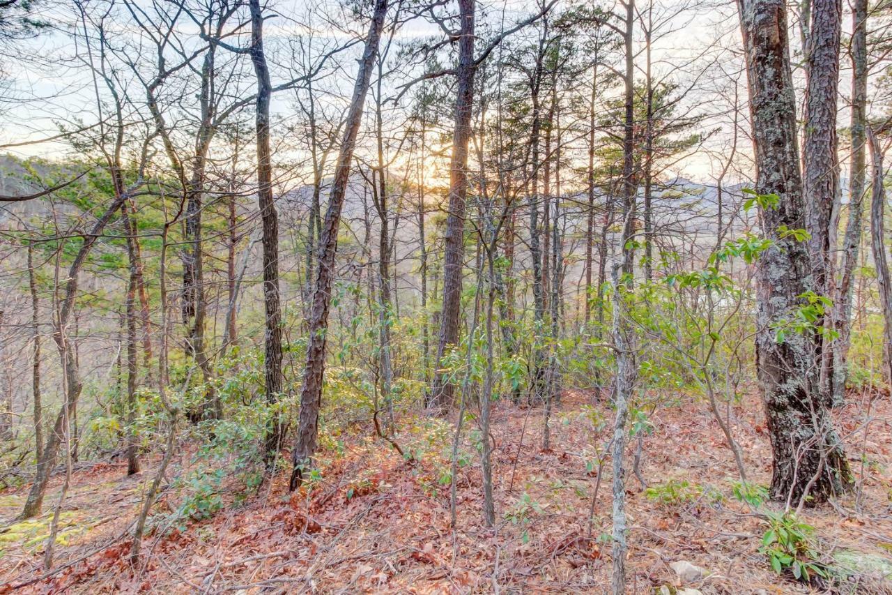 Misty View Cabin Hatchertown Экстерьер фото