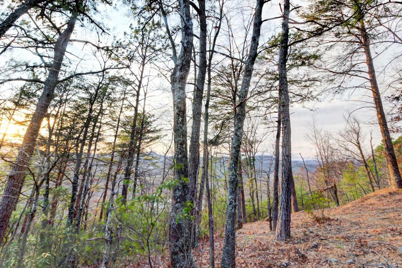 Misty View Cabin Hatchertown Экстерьер фото